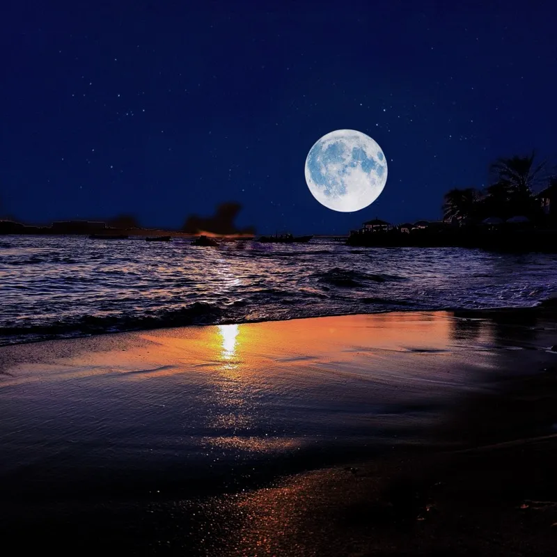 Full moon rising over ocean beach at night